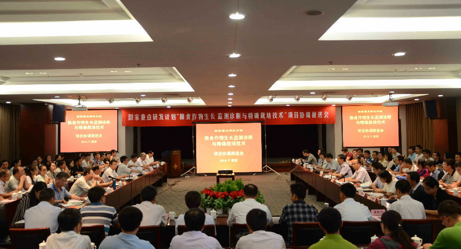 DSC_5595 (压缩).jpg